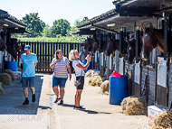 PN070822-172 - Paul Nicholls Stable Visit